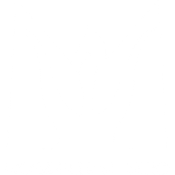 Mors Ultima Ratio