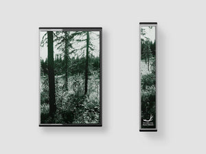 COMMON EIDER, KING EIDER "YEARN" TAPE