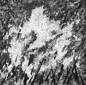 VILKACIS / TURIA "SPLIT" LP