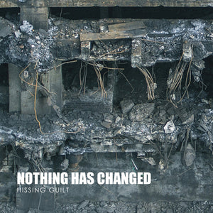 NOTHING HAS CHANGED "HISSING GUILT" CD