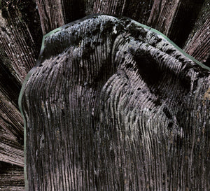 FLESHPRESS "Viimeinen saavutettu tahto" CD Digi