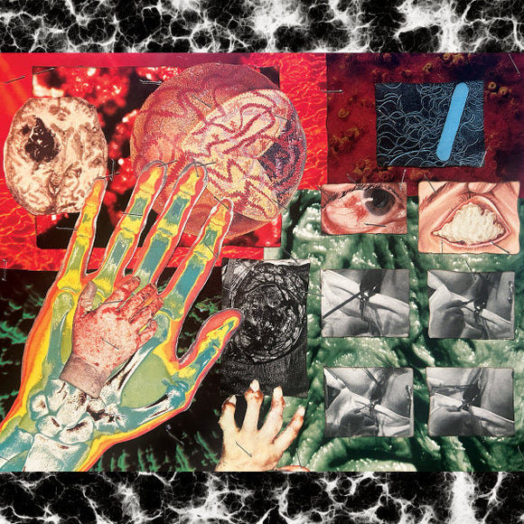 UN REGARD FROID / VOMIR 