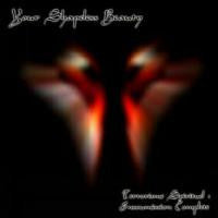 YOUR SHAPELESS BEAUTY - TERRORISM SPIRITUEL : INSOUMISSION COMPLETE - CD