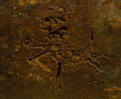 OSSUAIRE - MORTES FABLES - CD Digipak