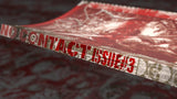 NO CONTACT "Issue 3" BOOK