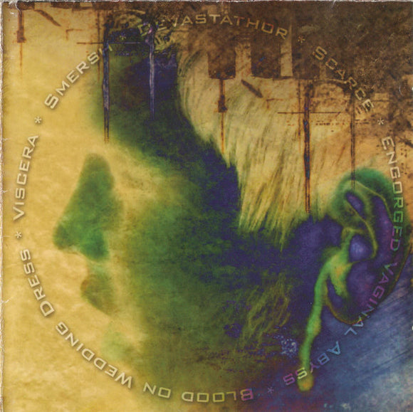 BLOOD ON WEDDING DRESS / VISCERA / SMERSH / DEVASTATHOR / SCARCE / ENGORGED VAGINAL ABYSS 