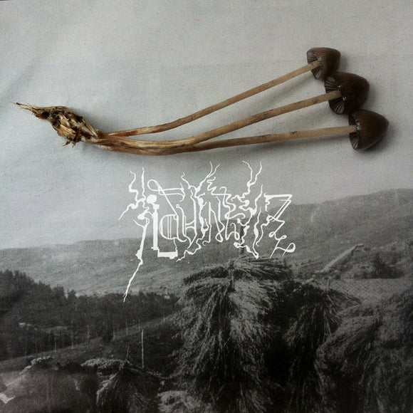 TOVANSKÏ / MARTIN MASSIV 