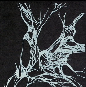 AEOGA "Triangle Of Nebula-Devourers & Palace For Vultunales" CD