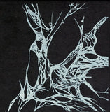 AEOGA "Triangle Of Nebula-Devourers & Palace For Vultunales" CD