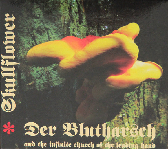 DER BLUTHARSH AND THE INFINITE CHURCH OF THE LEADING HAND / SKULLFLOWER 