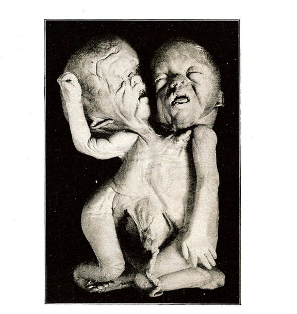 SUDDEN INFANT / GREY WOLVES / MACRONYMPHA 