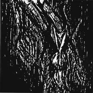 VLAD TEPES "MORTE-LUNE" CD