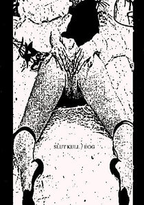 SLUT KULL / DOG "SPLIT" CDr - DVD box