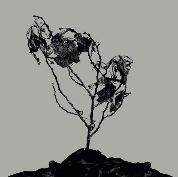 INNERWOUD - TREHA SEKTORI 