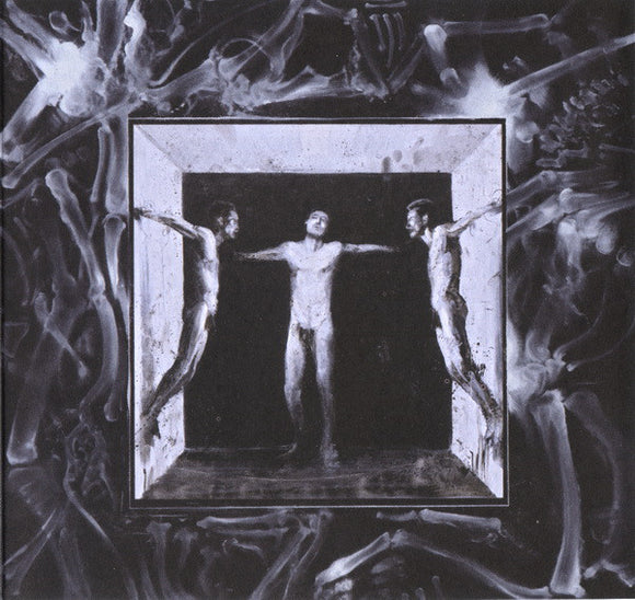 FLESHPRESS ‎– Tearing Skyholes - slim CD